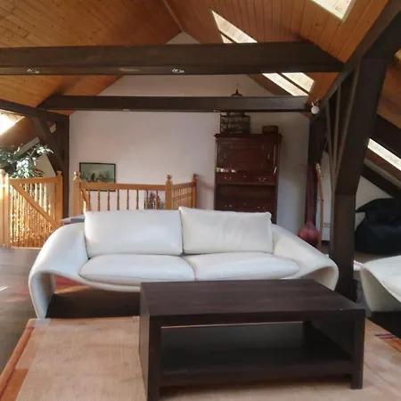 Апартаменты Penthouse Himmelreich Grosszuegige Maisonette Auf 152 Qm Mit Klima & Kamin Зенфтенберг