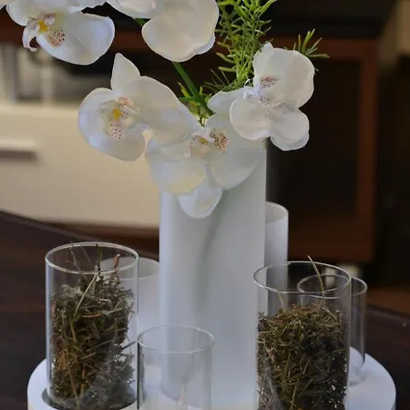 Penthouse Himmelreich Grosszuegige Maisonette Auf 152 Qm Mit Klima & Kamin * Senftenberg