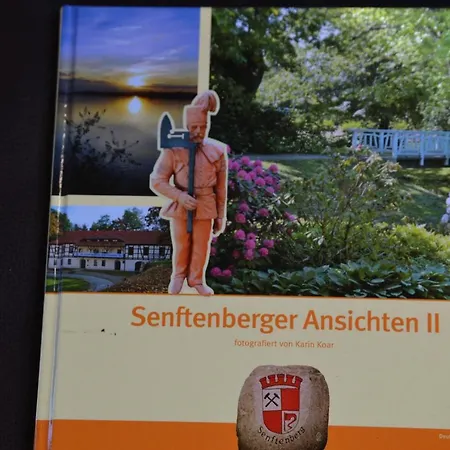 Daire Penthouse Himmelreich Grosszuegige Maisonette Auf 152 Qm Mit Klima & Kamin Senftenberg