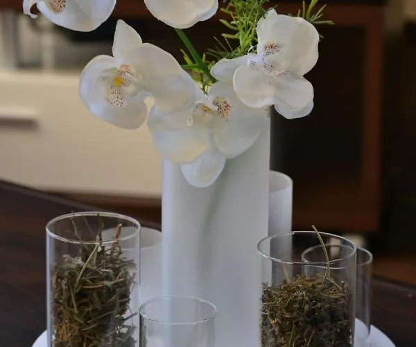 Penthouse Himmelreich Großzügige Maisonette Auf 152 Qm Mit Klima&kamin * Senftenberg